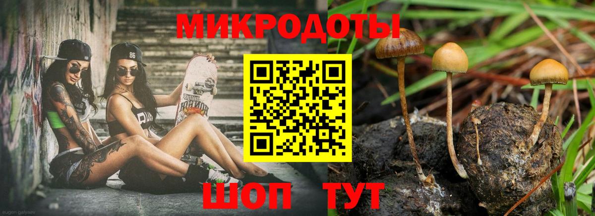Псилоцибиновые грибы Cubensis  Вход с VPN  Псилоцибиновые грибы мицелий  где найти   Сызрань 